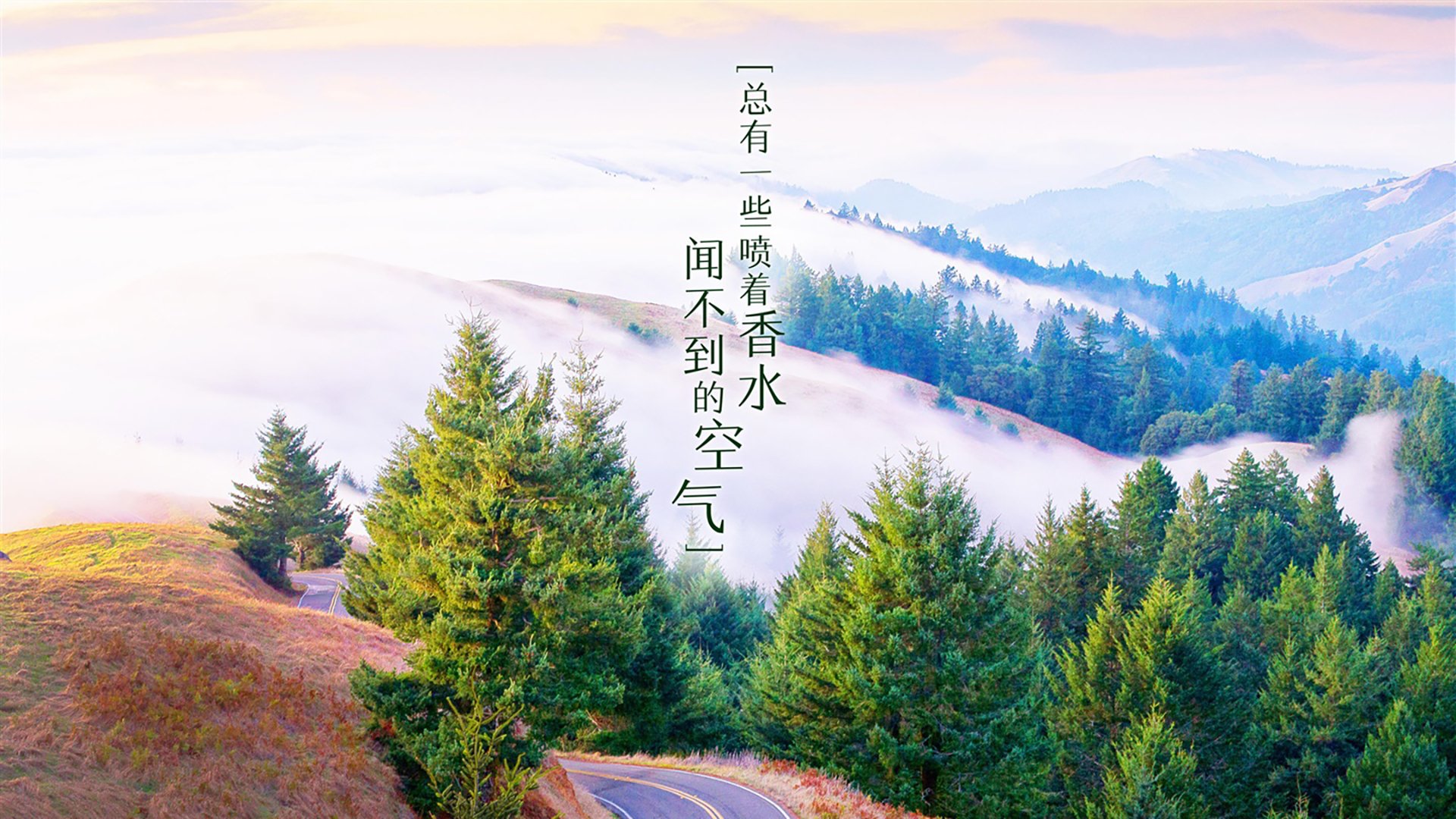 2026 体育赞助白皮书：快消品牌为何正在大规模转投女子赛事？，体育快消都有什么